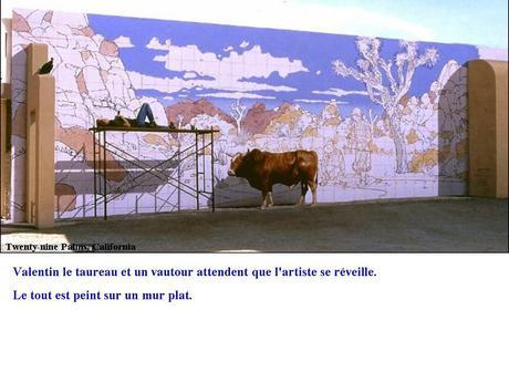 Divers - Quelques trompes l'oeil