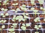 Partir l’expérience client aide sortir silos