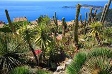 Découvrez les Jardins de la Côte d’Azur à l’occasion du 1er Festival* !