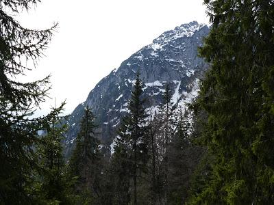 Belles promenades tyroliennes: l'alpage de Puit (Puitalm) au départ de la vallée du Leutasch