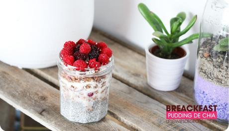 Comment faire un Pudding de Chia ? #food