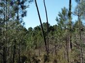 Notre mois mars 2017 instants