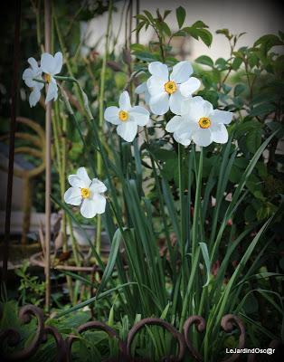 Quel bonheur de se retrouver au jardin à cette saison ! C...