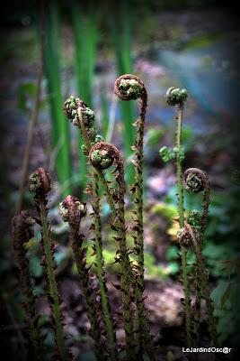 Quel bonheur de se retrouver au jardin à cette saison ! C...
