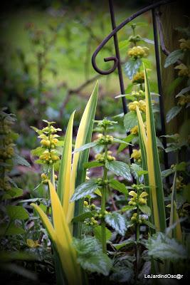 Quel bonheur de se retrouver au jardin à cette saison ! C...