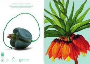 Musée de La Vie Romantique – Le Pouvoir des fleurs – 26 Avril au 1er Octobre 2017