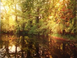 GALERIE RX   – NOUVELLE PHOTOGRAPHIE DE DUSSELDORF (Elger Esser ATM Berit Schneidereit) » Le Voyage Immobile » Fabien Verschaere