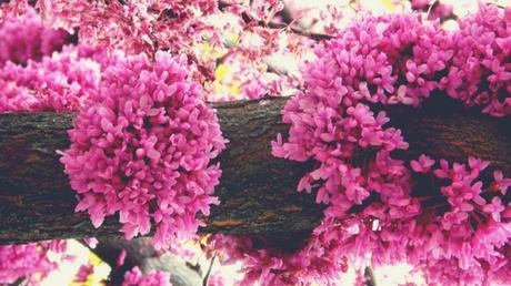 10 manières de se reconnecter à la nature 10 manières de se reconnecter à la nature