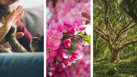 10 manières de se reconnecter à la nature 10 manières de se reconnecter à la nature