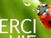 Quand ange passe dans site