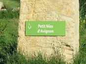 Avignoun d'aiours Pichot