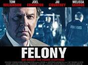 Felony (2016) ★★★☆☆