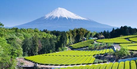 Ni d'Eve ni d'Adam. Amélie NOTHOMB - 2007.
