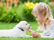 OBÉSITÉ ALLERGIE Avoir chien prévient microbiome chez petit enfant Microbiome