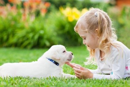 OBÉSITÉ et ALLERGIE : Avoir un chien les prévient via le microbiome chez le petit enfant – Microbiome