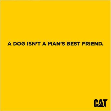 1 pub par jour pendant 365 jours