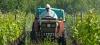 L'UNAF révèle l'alarmante utilisation des pesticides 