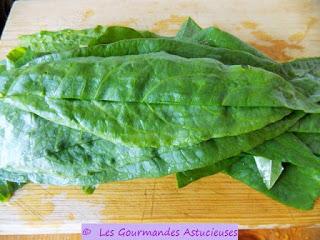 Tortilla verte (Oseille, Chénopode Bon-Henry, Egopode et Origan sauvage)