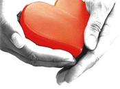 Chronique "Heartbeat"