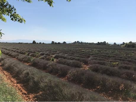 Aux thermes de la campagne