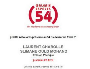Galerie 54   exposition Laurent Chabolle et Slimane Ould Mohand  « Evasion Poétique »  jusqu’au 22 Avril 2017
