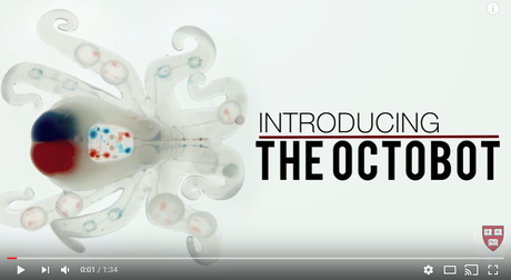 Science et robotique : Octobot, le robot poulpe mou autonome