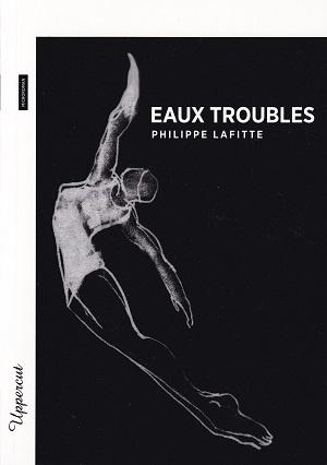 Eaux troubles, de Philippe Lafitte