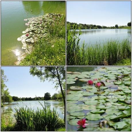 Trizay - Jardins et Lac