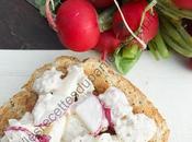 Tartinade thon radis Tuna Radish Spread