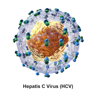 #thelancetgastroenterologyandhepatology #VHC #génotype1b Ombitasvir, paritaprevir, et ritonavir plus dasabuvir pendant 8 semaines chez des patients non préalablement traités atteints d’infection par virus de l’hépatite C de génotype 1b sans cirrhose (G...