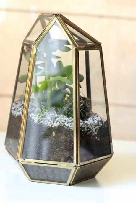 Tutoriel : réaliser un terrarium