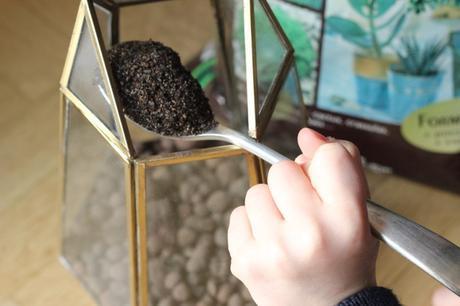 Tutoriel : réaliser un terrarium