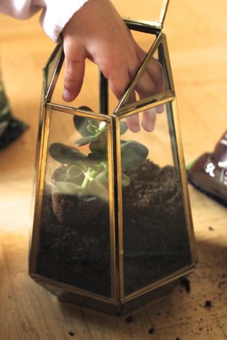 Tutoriel : réaliser un terrarium