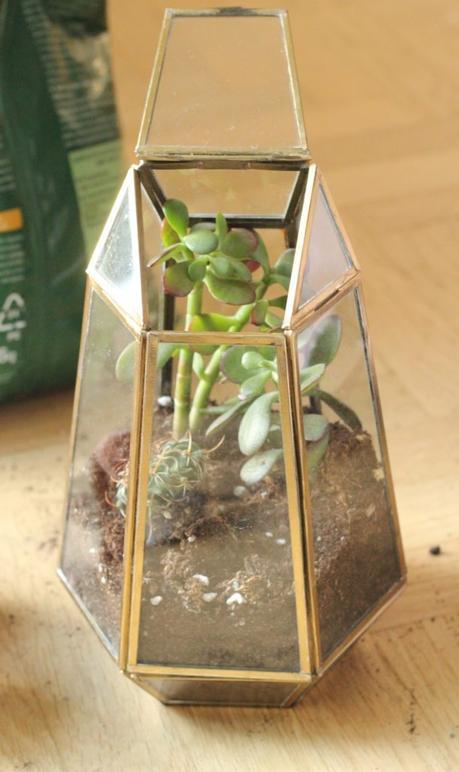 Tutoriel : réaliser un terrarium