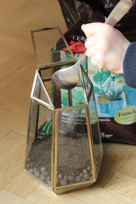 Tutoriel : réaliser un terrarium