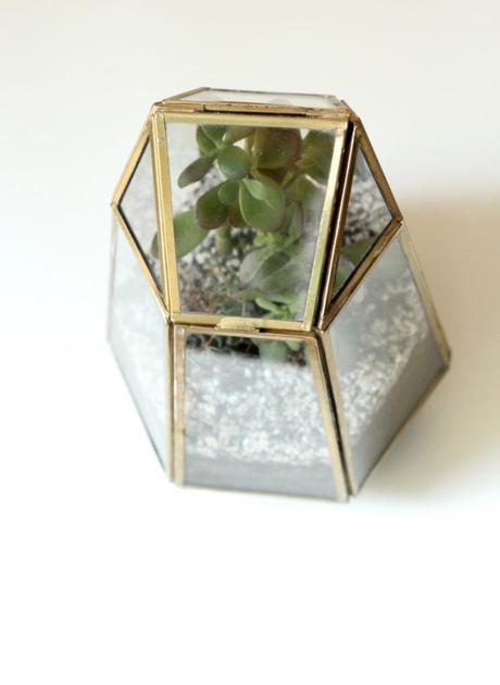 Tutoriel : réaliser un terrarium