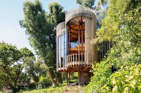 paarman-tree-house-by-mv-architecture-residential_2364_col_10