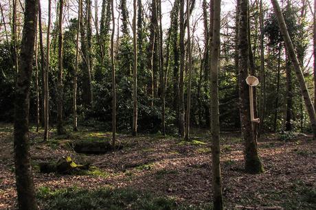 Projet étudiant : Phono de Guillaume Thireau