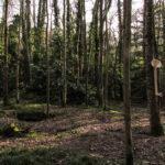 Projet étudiant : Phono de Guillaume Thireau