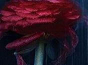 agendas: tome tout Hasard Jamie McGuire paraîtra