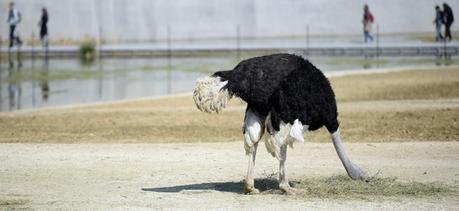 Attentats : après le syndrome de Stockholm, le syndrome de Paris