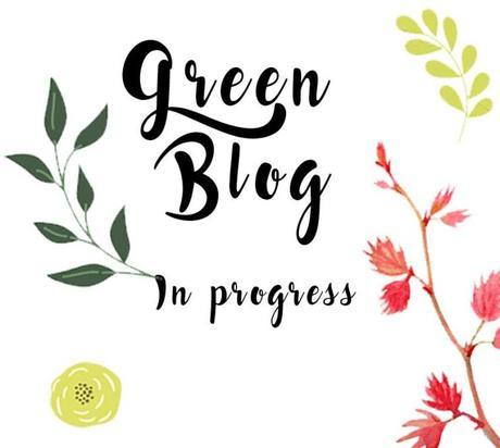 Mon défi Green Blog