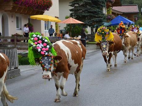 Divers - Transumance - 2