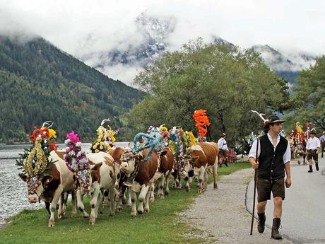 Divers - Transumance - 2