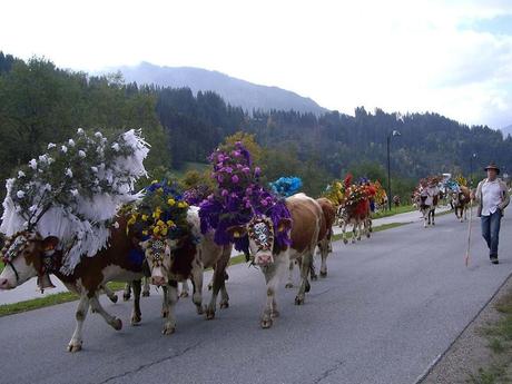 Divers - Transumance - 2