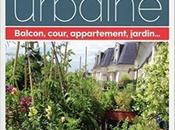 Tout savoir permaculture urbaine