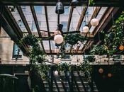 terrasses préférées Montréal