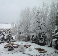 Un printemps mort-né