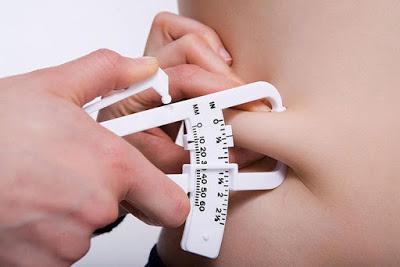indice de masse corporel taux de gras 