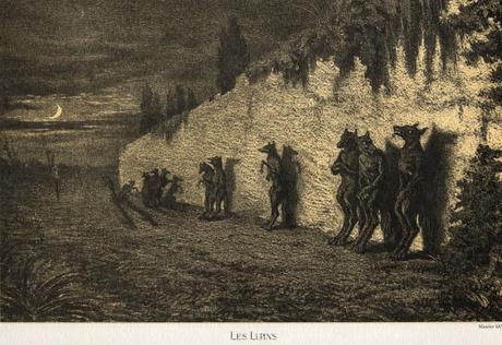 # 101/313 - Lupins et république lupine